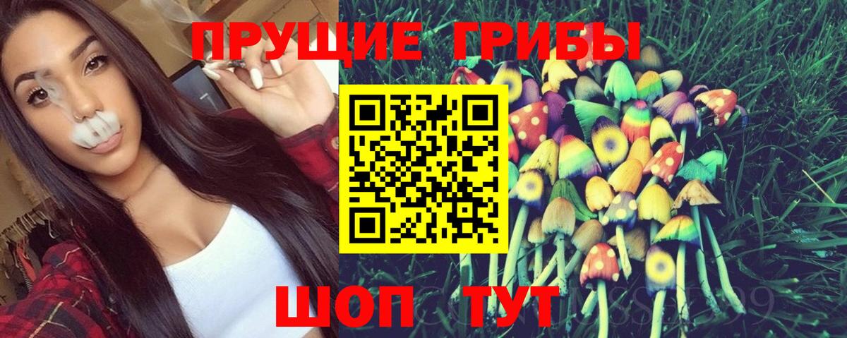 Псилоцибиновые грибы MAGIC MUSHROOMS  Вход с VPN  Тамбов  Псилоцибиновые грибы мухоморы 